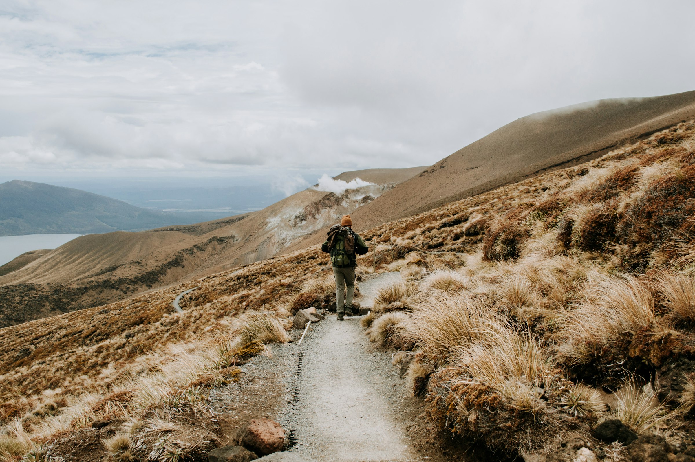 New Zealand North Island road trip: Auckland to Wellington