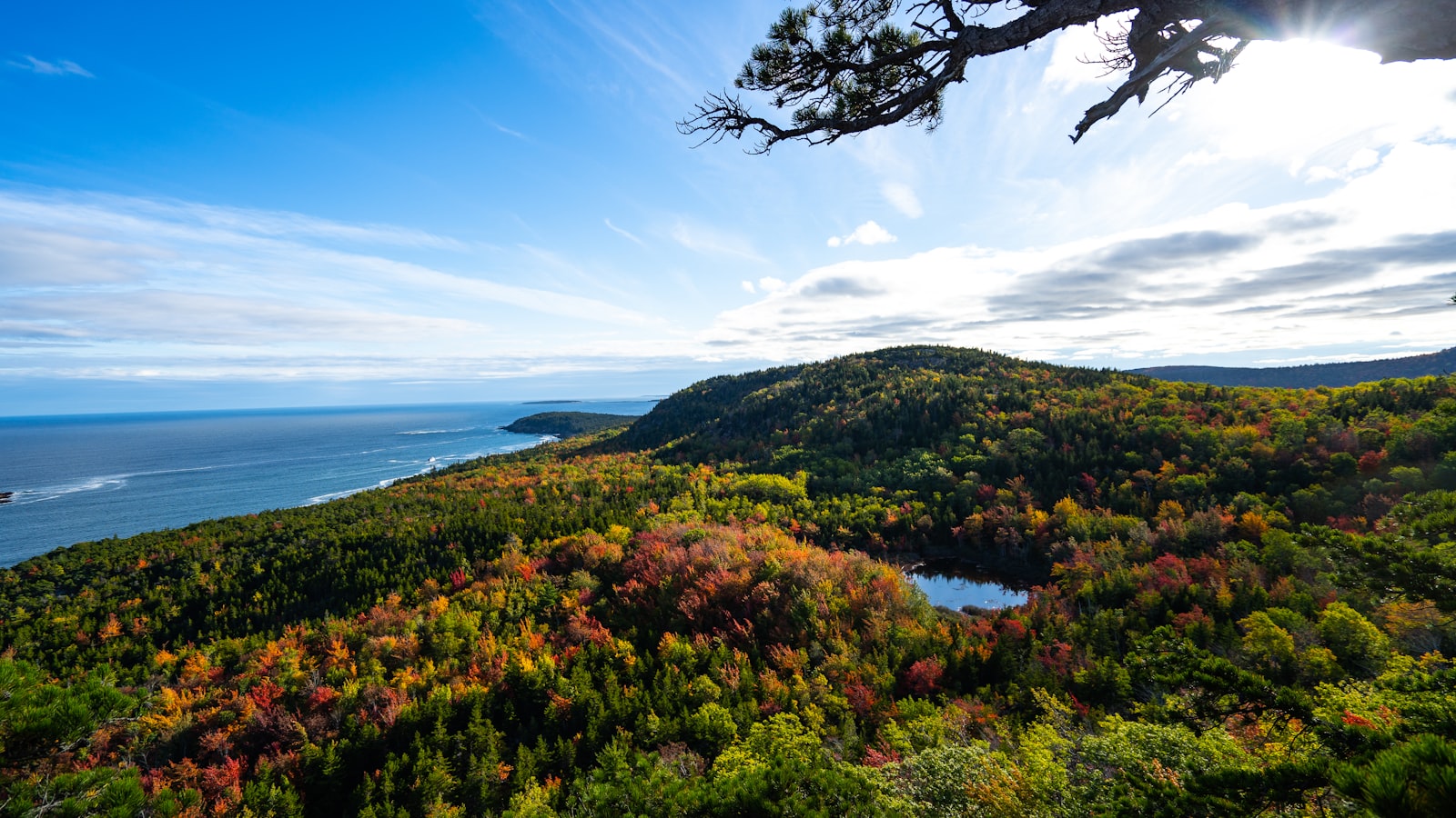 New England coast road trip: Boston to Bar Harbor