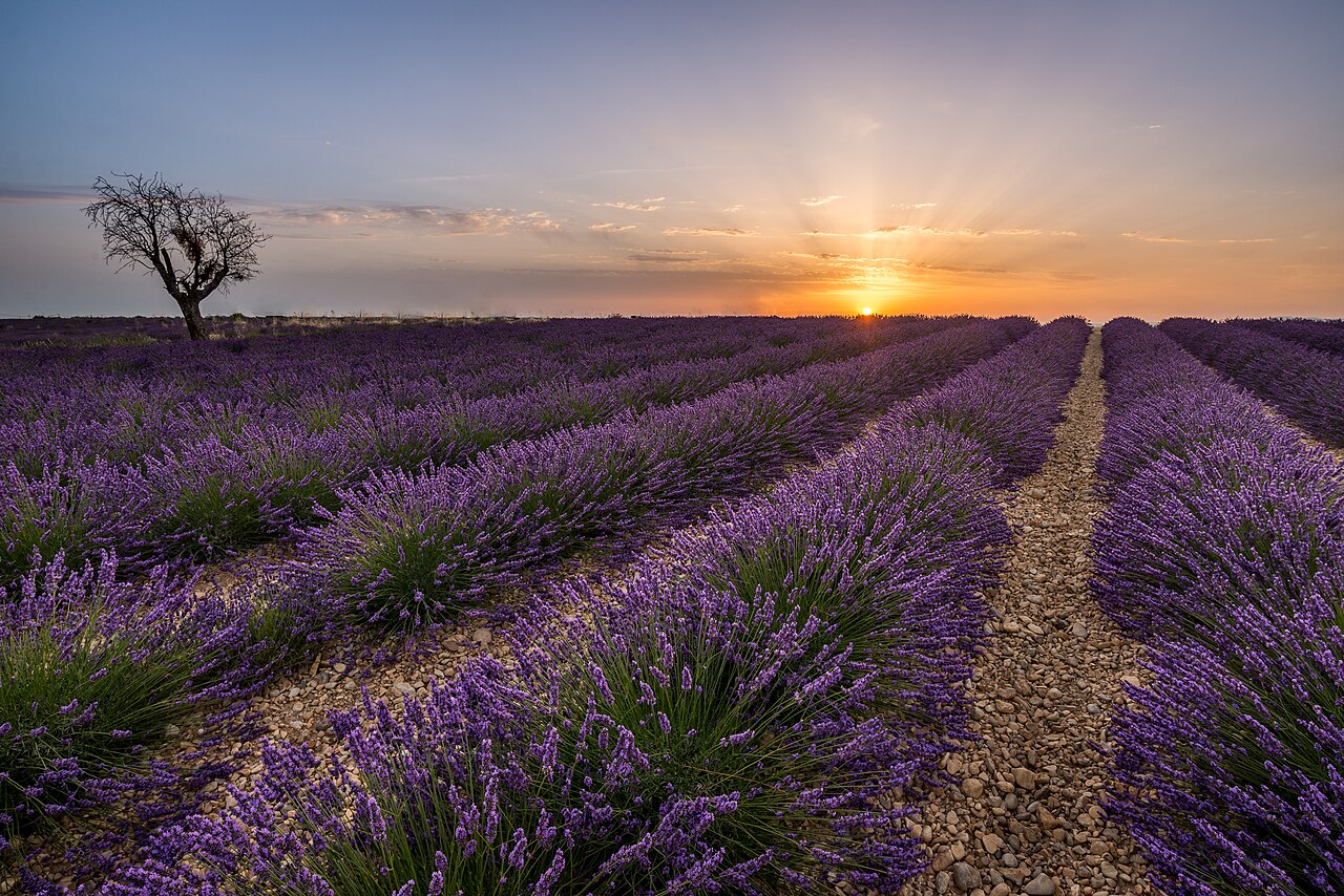 Paris to Nice road trip