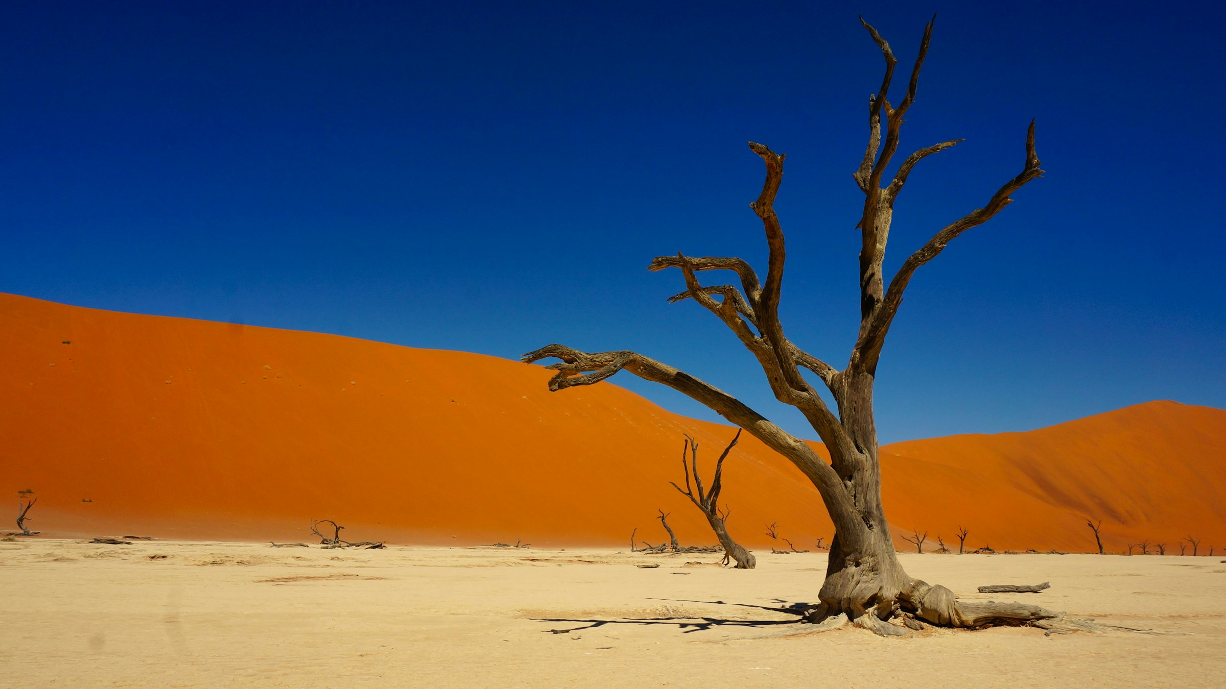 Namibia road trip: Windhoek, Sossusvlei & the Skeleton Coast